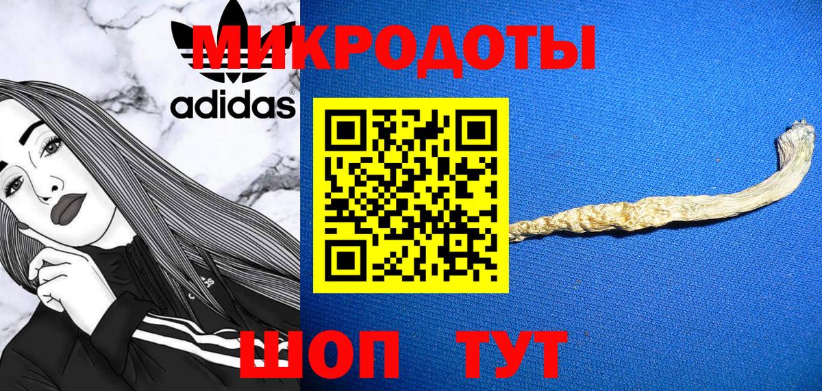 Галлюциногенные грибы Psilocybine cubensis Искитим
