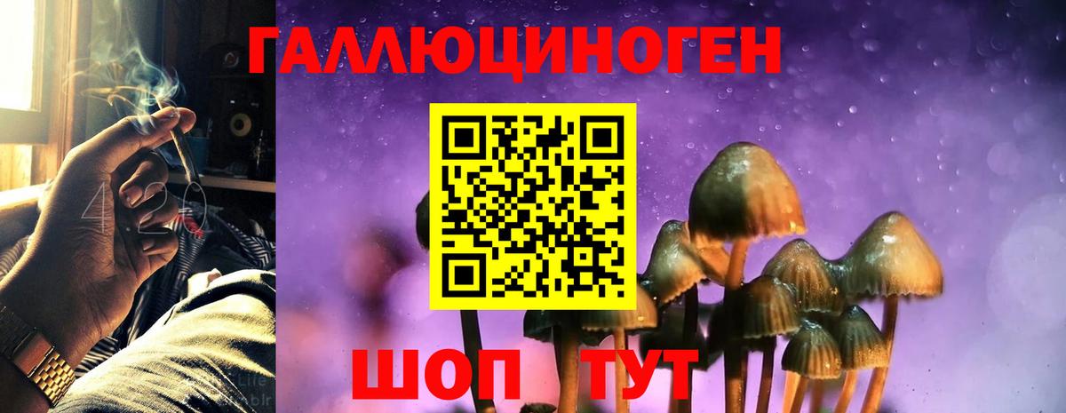 Псилоцибиновые грибы Magic Shrooms  Вход с VPN  Искитим 